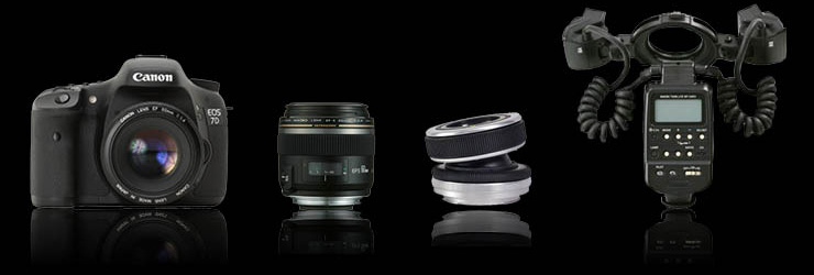 Some of the Macro Photography equipment