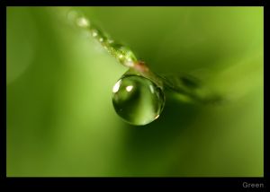Green.jpg